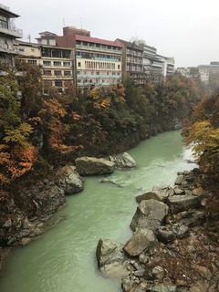 IMG_2940.jpg